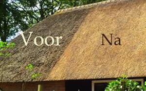 Onderhoud van uw rieten dak